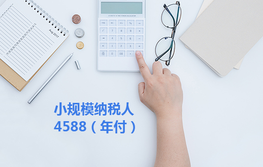 小规模纳税人（年付）